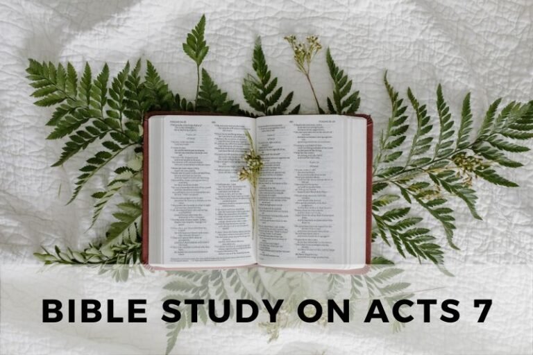 Bible Study on Acts 7: Lessons  from Stephen’s Martyrdom