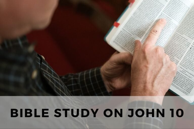Bible Study on John 10: The Good Shepherd and Eternal Life