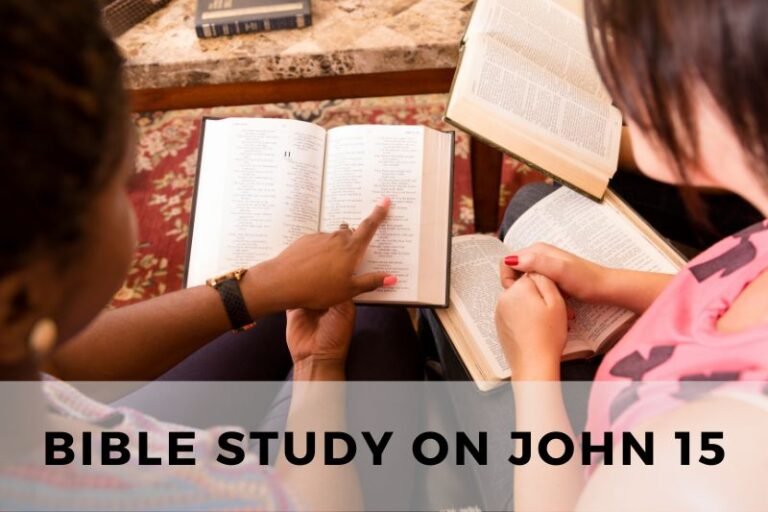 Bible Study on John 15: The True Vine and the Command to Love