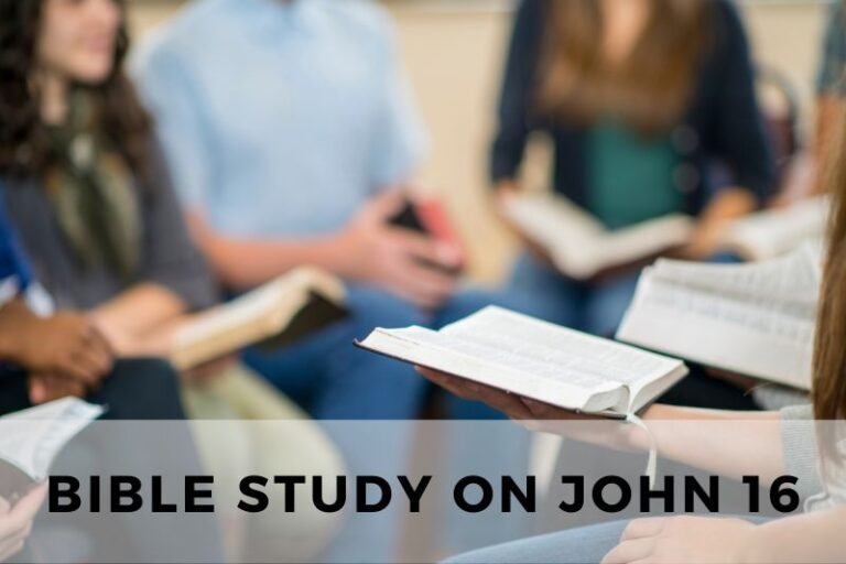 Bible Study on John 16: The Holy Spirit’s Work and Jesus’ Peace