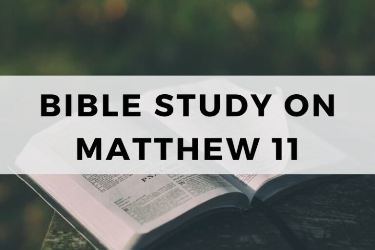 Bible Study on Matthew 11:  John the Baptist and Jesus’ Call