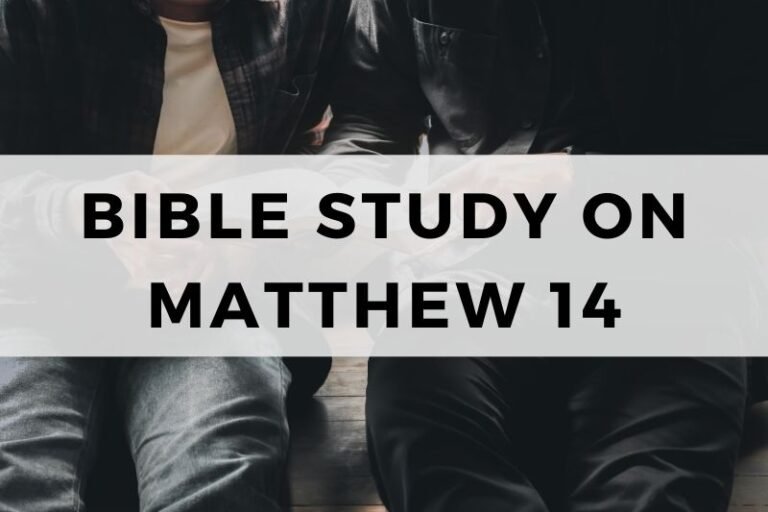 Bible Study on Matthew 14:  Feeding and Walking on Water